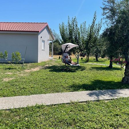 Ktima Mimoza Lägenhet Sykia Chalkidikis Exteriör bild