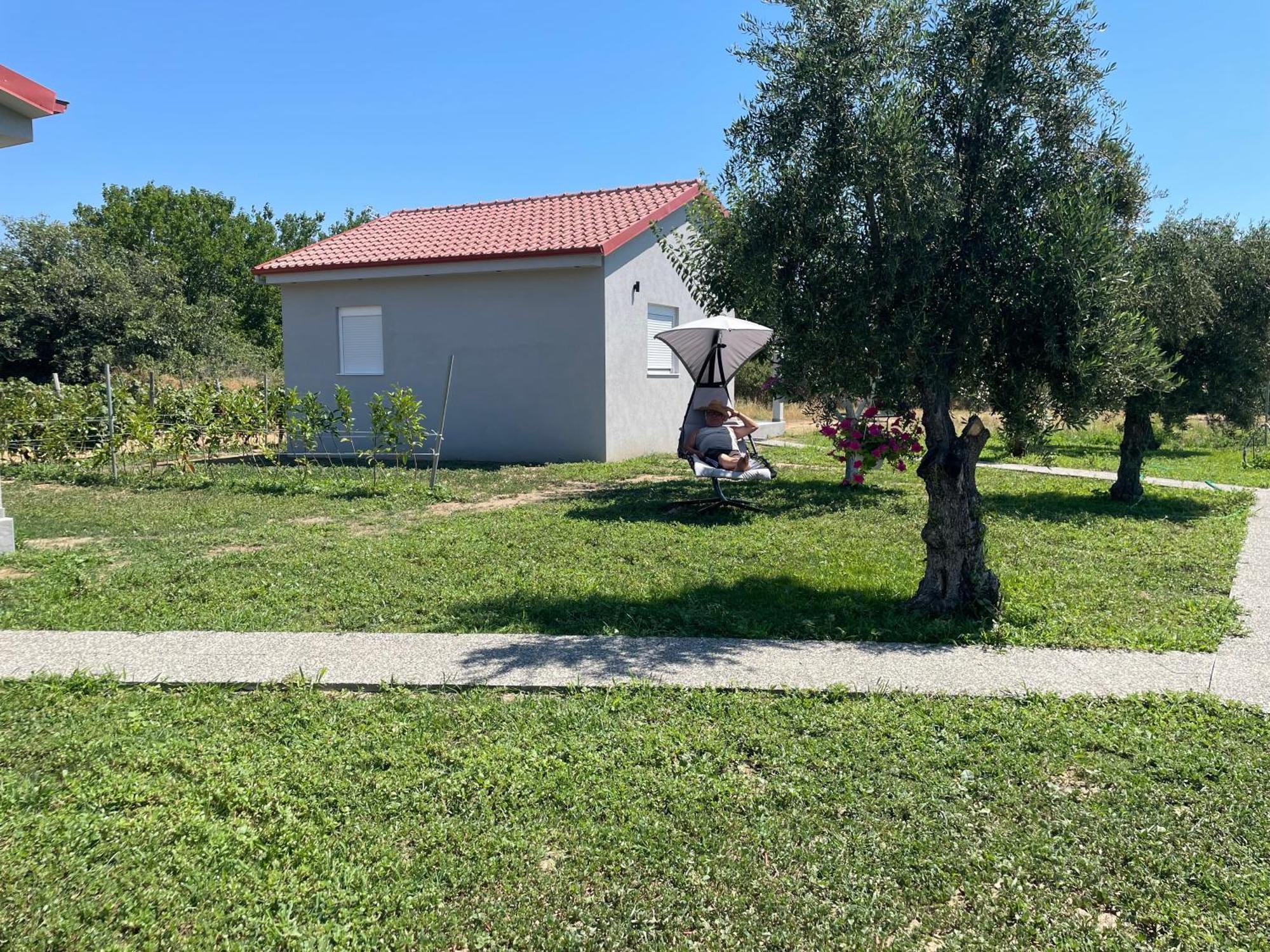Ktima Mimoza Lägenhet Sykia Chalkidikis Exteriör bild